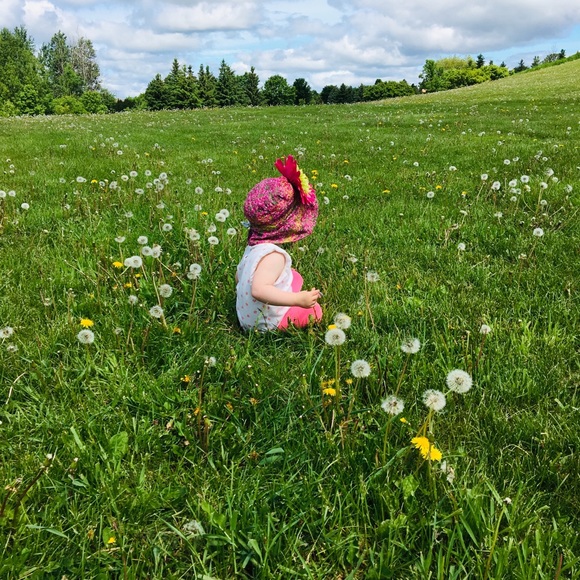 Meet your Posher, Kailyn - Picture 1 of 1